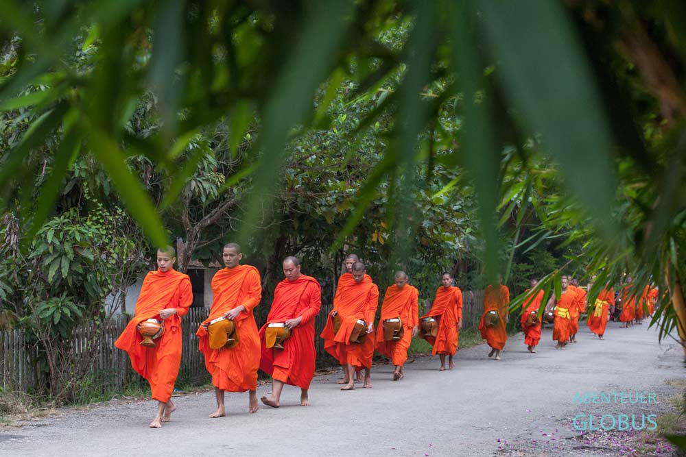 Tipps für Luang Prabang in Laos: Almosengang am Morgen