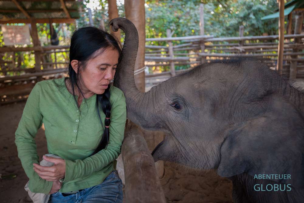 Tipps für den Elephant Nature Park von der Elefantenretterin Sangduen Lek Chailert: Touren, Buchungen, Tickets
