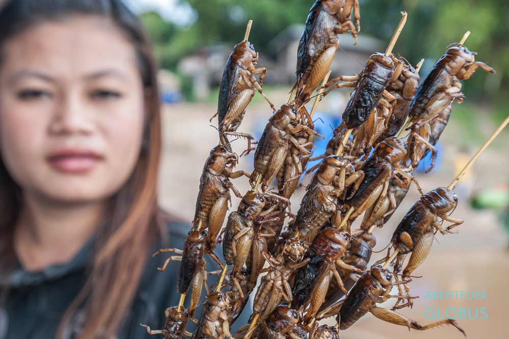 Vang Vieng: Gefrittete Insekten am Wasserfall Kaeng Nyui