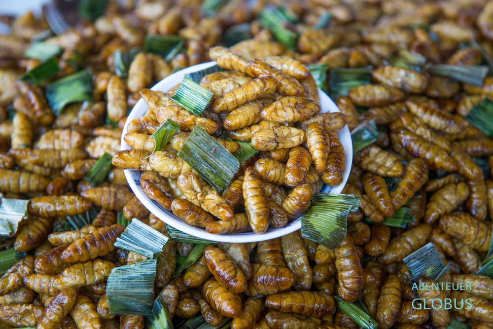 Tipps für Vientiane: Gefrittete Seidenraupen auf dem Nachtmarkt am Mekongufer