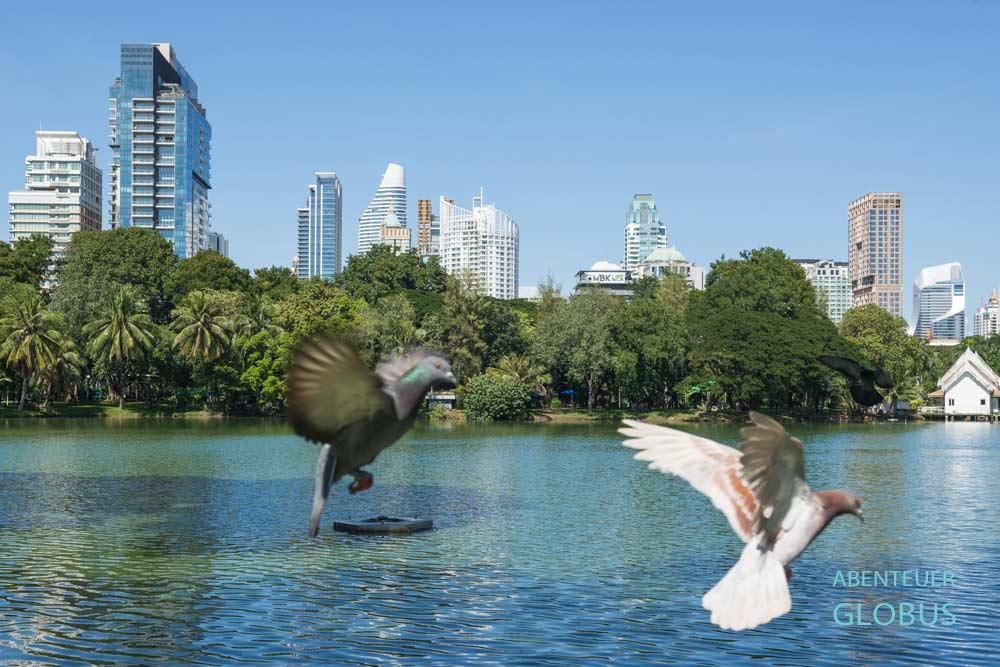 Im Stadtteil Sukhumvit in Bangkok liegt der Benjakitti-Park mit See.