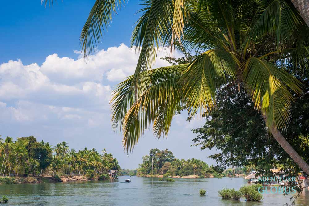 Insel Don Khon mit Palmen und Bambushütten.