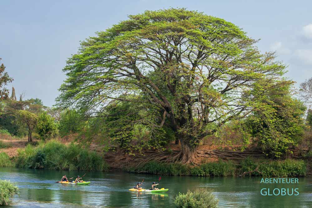 Kajaktour im Mekong-Delta Si Phan Don