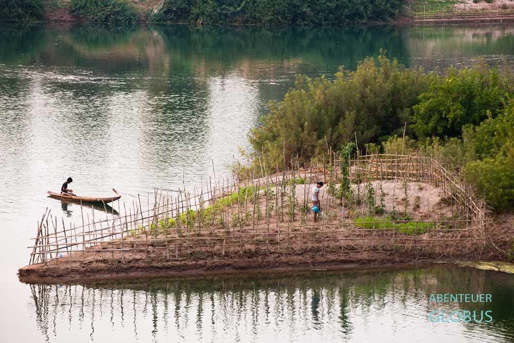 Frau gießt Gemüsepflanzen in einem Garten auf der Insel Don Khong.
