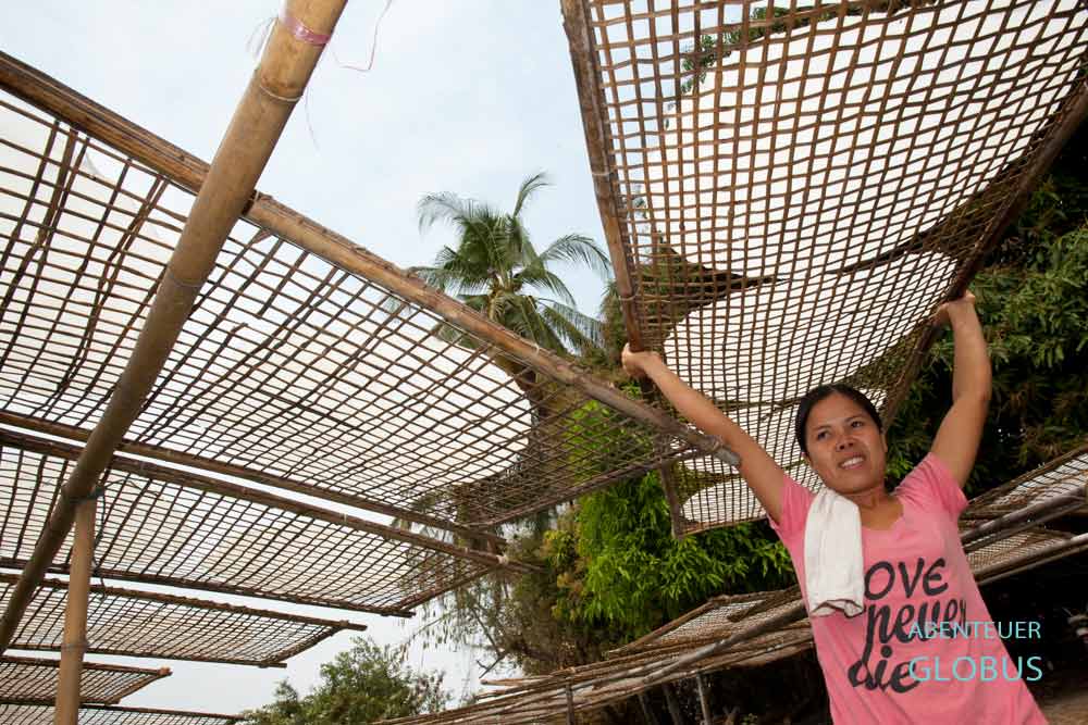 Frau trägt auf der Insel Don Som ein Gestell mit Reispapier über dem Kopf.