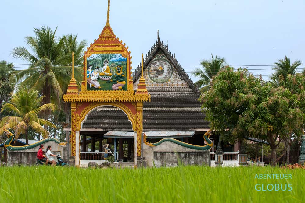 Bunter Tempel am grünen Reisfeld auf der Insel Don Som, Laos.
