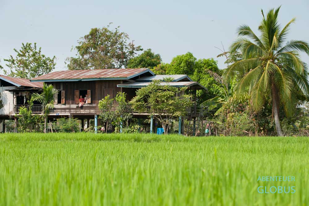 Traditionelles Wohnhaus im Mekong-Delta Si Phan Don (4000 Inseln) mit grünem Reisfeld im Vordergrund.