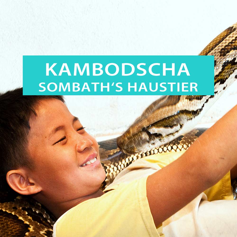 Sombath mit seiner Riesenschlange, einem Python, in Kambodscha