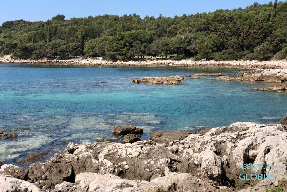 Kroatien, Istrien, Rovinj: Strand Kuvi (Cuvi) nahe Waldpark Goldenes Kap