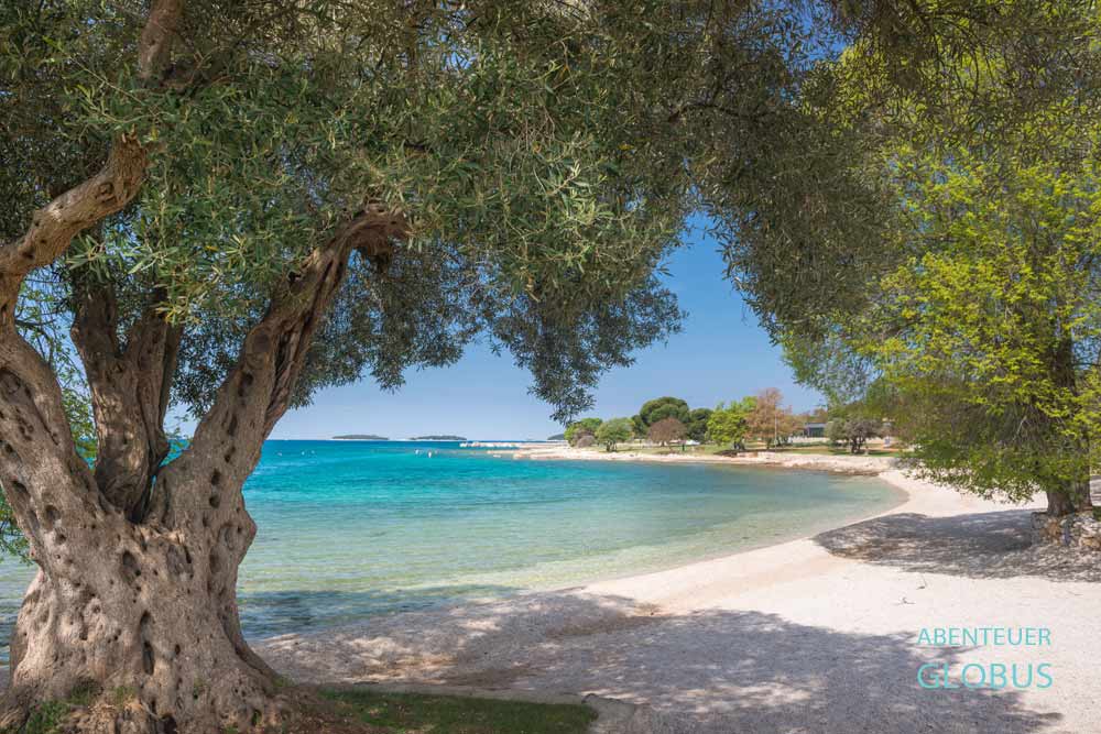 Badestrand am Campingplatz Maistra Camping Polari in Rovinj auf der Halbinsel Istrien, Kroatien
