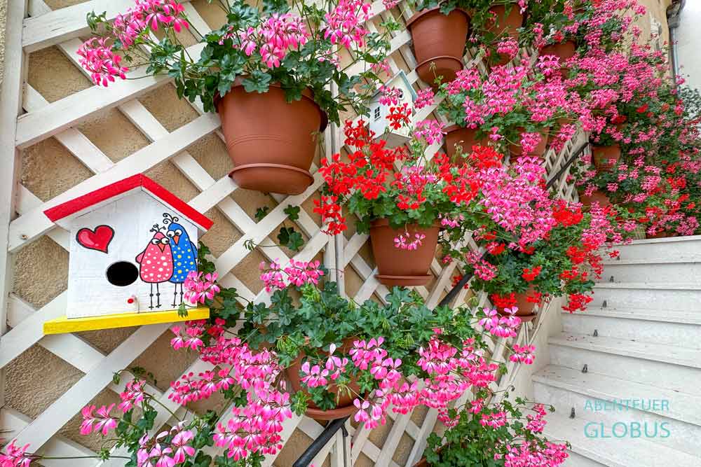 Vogelhaus und Blumen in der Altstadt von Perast