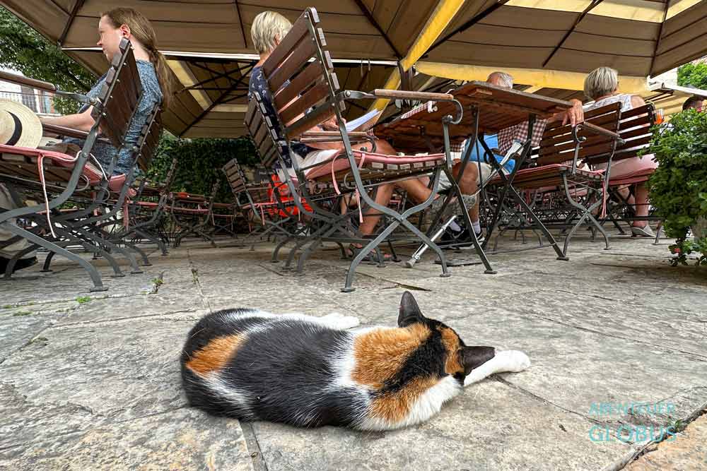 Katzen schlafen überall in der Altstadt.