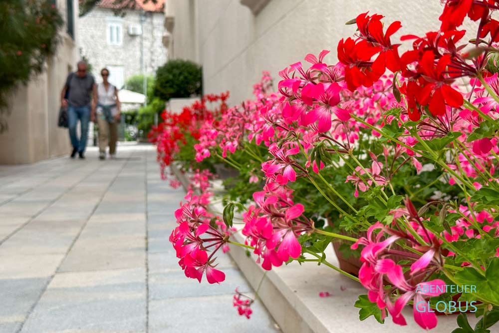 Gasse in der Altstadt von Perast