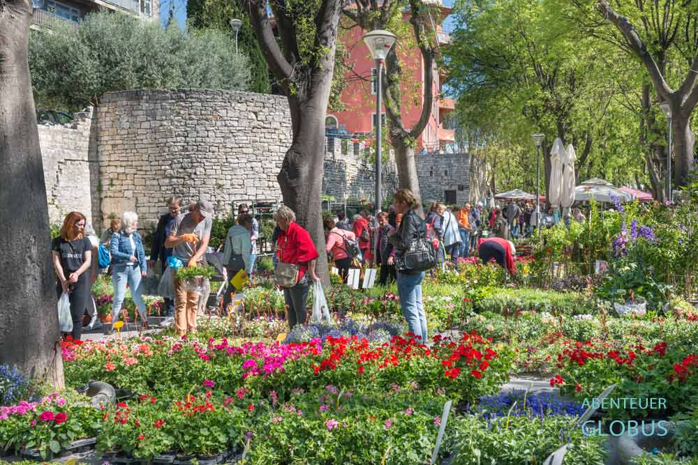 Blumenmarkt im Giardini Park an der Stadtmauer von Pula 