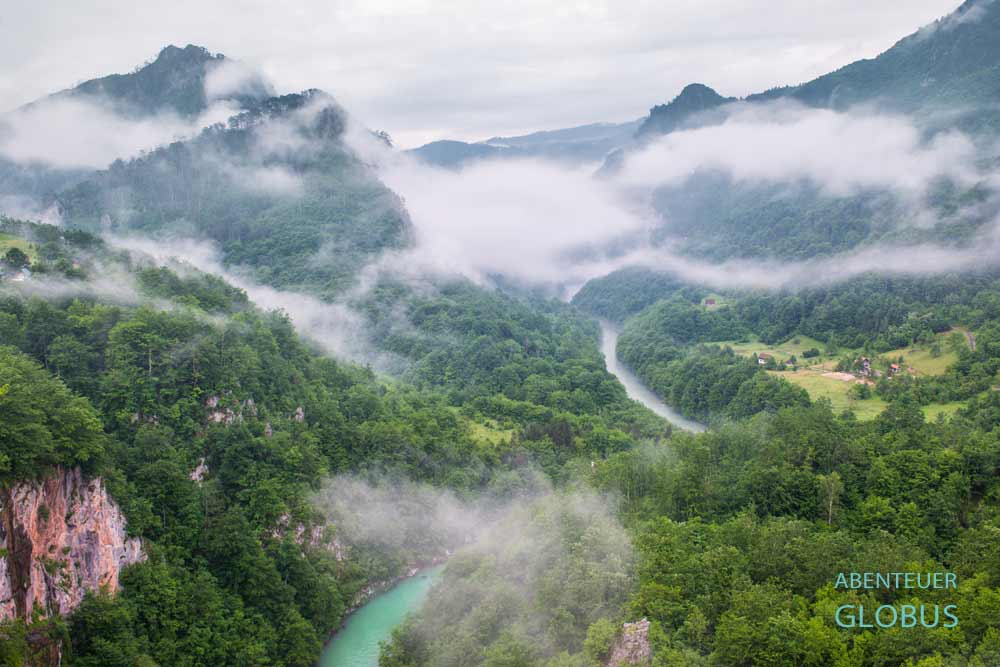 Ausblick von der Tara-Brücke in die Tara-Schlucht in Montenegro