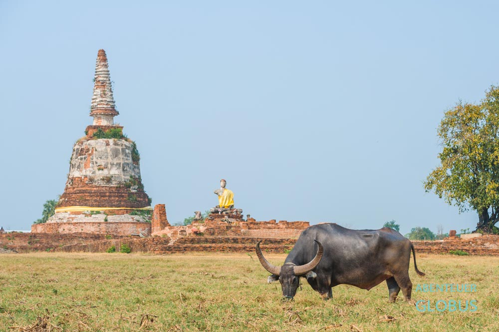 Tempel Wat Chang außerhalb der Altstadt von Ayutthaya