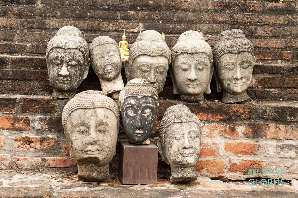 Buddha-Köpfe im Tempel Wat Yai Chai Mongkhon im Ayutthaya Historical Park