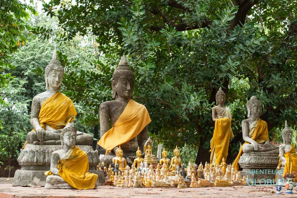 Buddha-Statuen im Tempel Wat Yai Chai Mongkhon