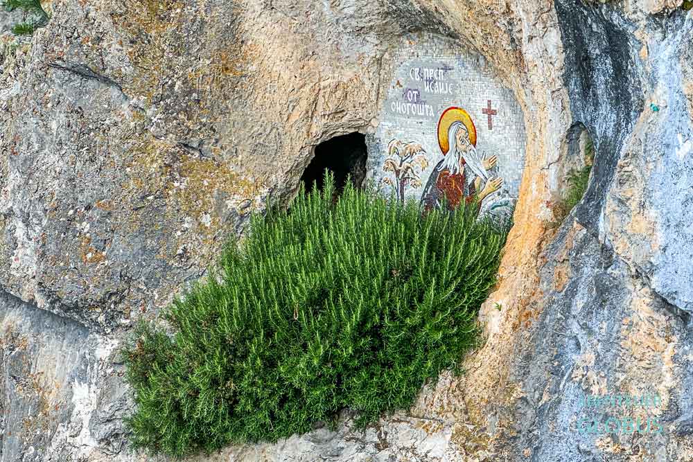 Rosmarin und Mosaik am Felsen im Kloster Ostrog nahe Niksic