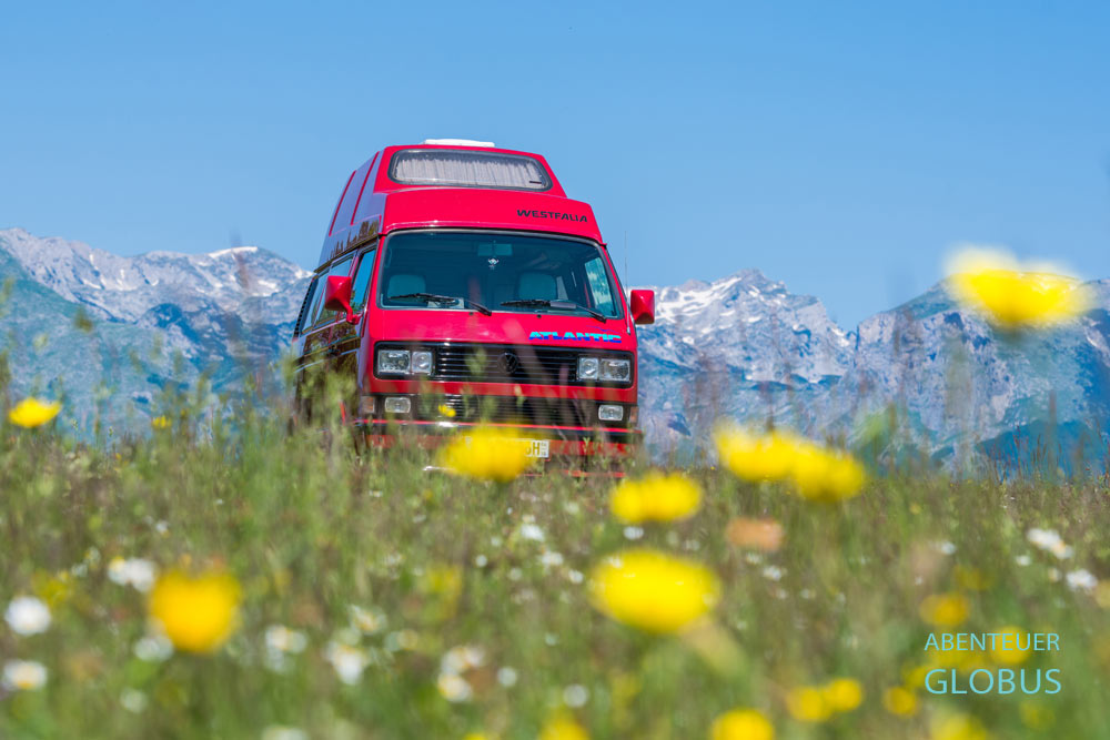 Almwiese mit Blumen auf der Panoramastraße Durmitor-Ring im Nationalpark Durmitor