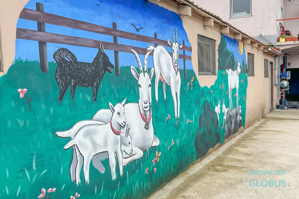 Ziegenkäserei Gazdinstvo Butorovic in der Umgebung von Niksic