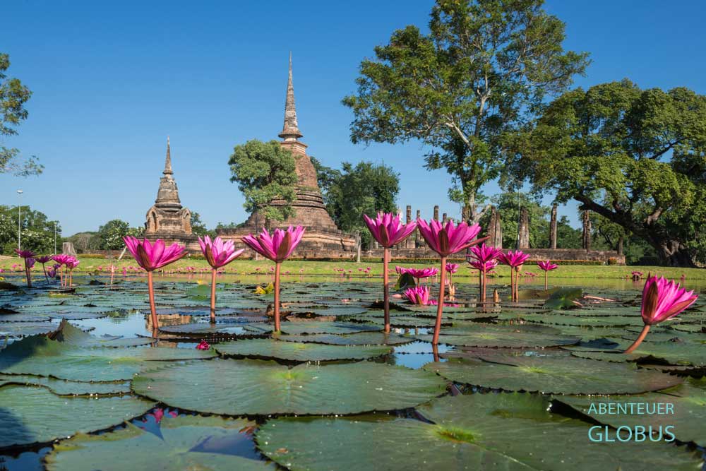 Tempel Wat Sa Si (Sra Sri) auf einer Insel im Seerosenteich im historischen Park von Sukhothai 