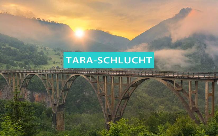 Tipps für die Tara-Schlucht und Tara-Schlucht in Montenegro
