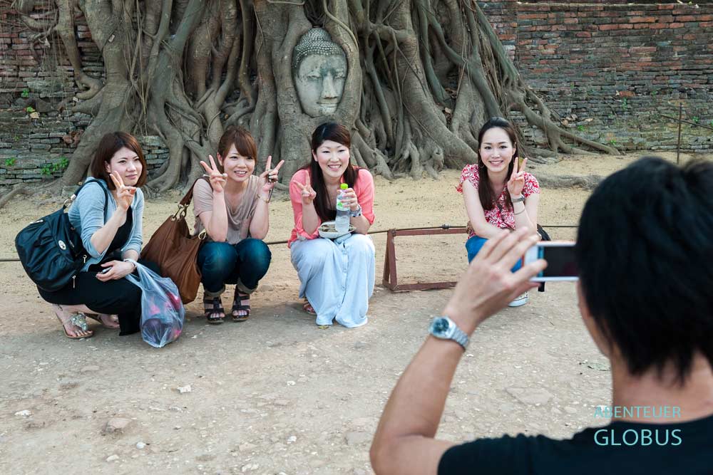 Der berühmte Buddha-Kopf im Wat Mahathat im historischen Park von Ayutthaya