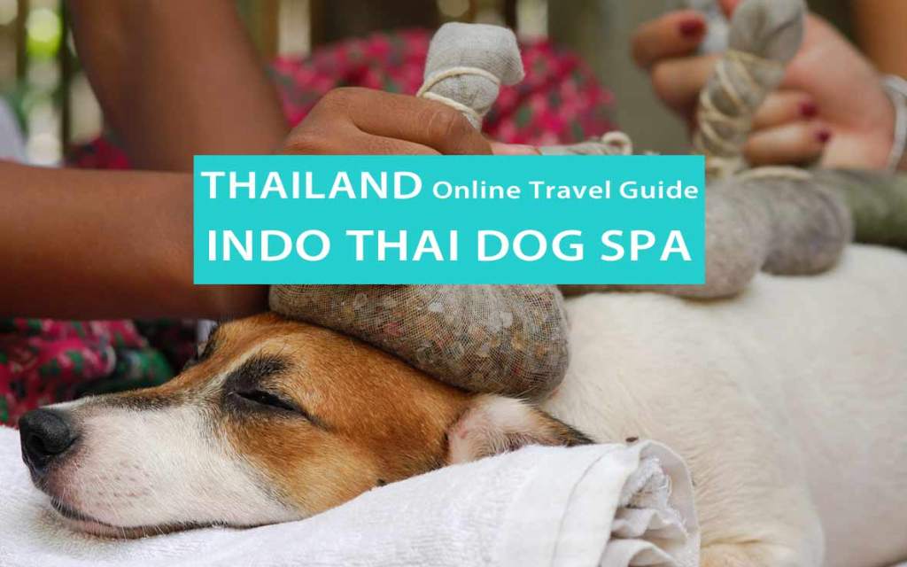 Wellness für Hunde: Indo Thai Dog Spa in Bangkok