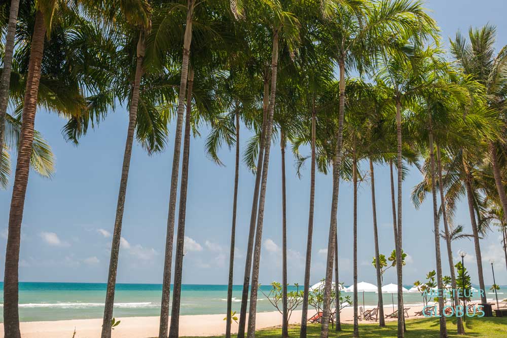 Strand Ban Krut mit Palmen