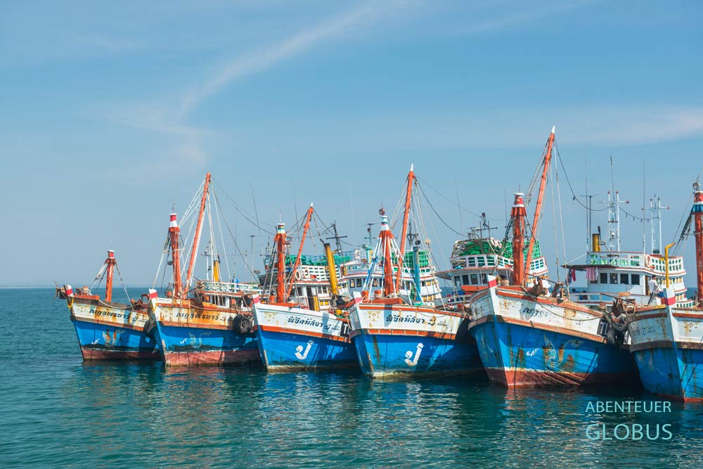 Fangflotte im Fischereihafen bei Bang Saphan
