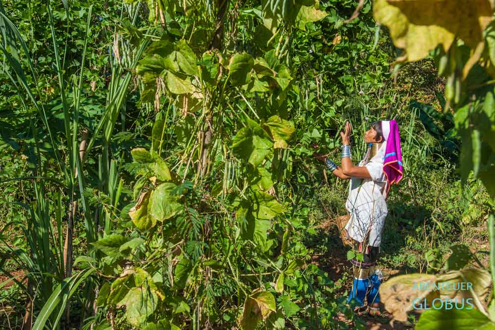 Frau der Volksgruppe Longneck Karen, auch Kayan Lahwi, im Ethniendorf Union of Hill Tribe Villages