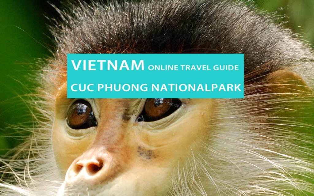 Vietnam: Affen mit den weißen Hosen im Cuc Phuong Nationalpark
