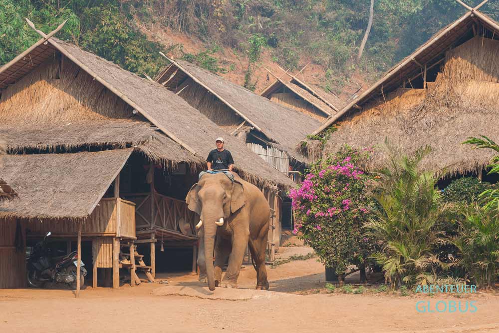 Mahut und Elefant im Anantara Golden Triangle Elephant Camp & Resort im Goldenen Dreieck