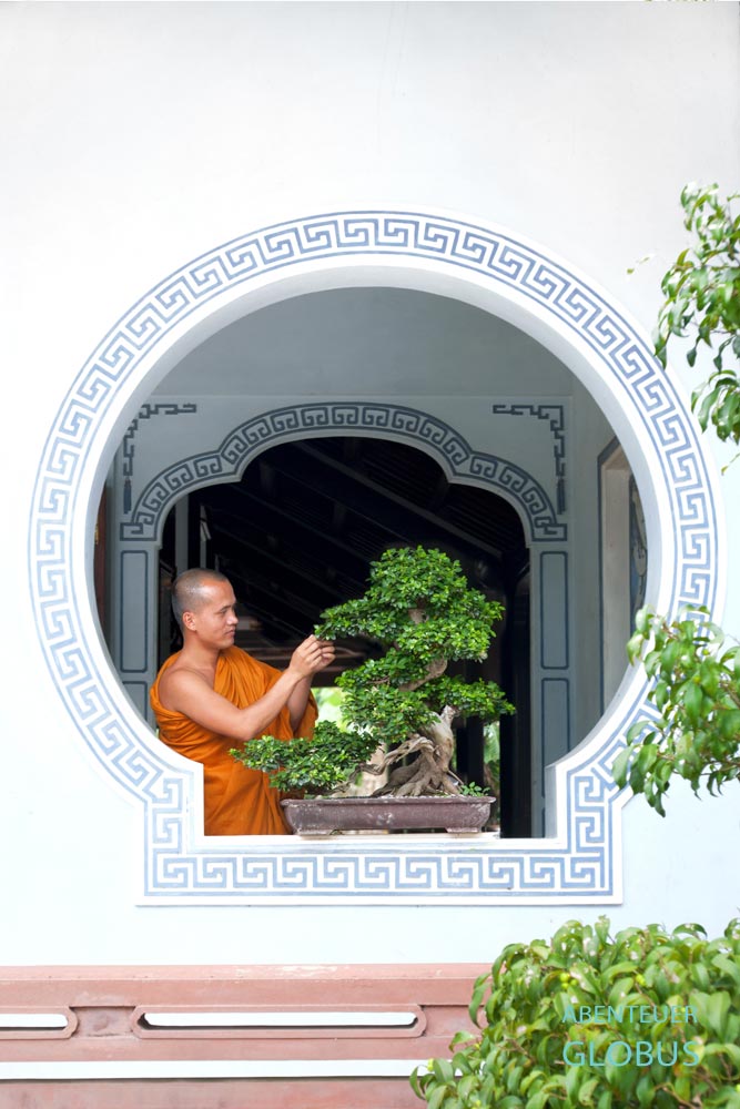 Mönch am Bonsai in der alten Kaiserstadt Hue
