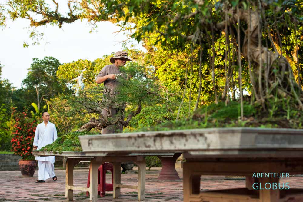 Attraktion und Highlight in Hue: Thien Mu Pagode mit Bonsaigarten