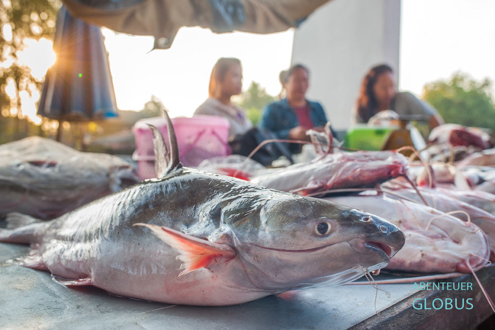 Frische Fische auf dem lokalen Markt