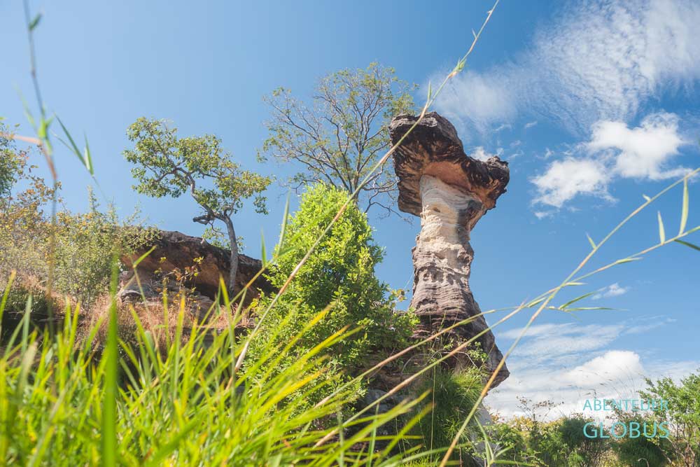 Attraktion bei Khong Chiam: Pha Taem Nationalpark mit Sao Chaliang, auch Sao Cha Liang oder Mushroom Rocks, und Lan Hin Teak