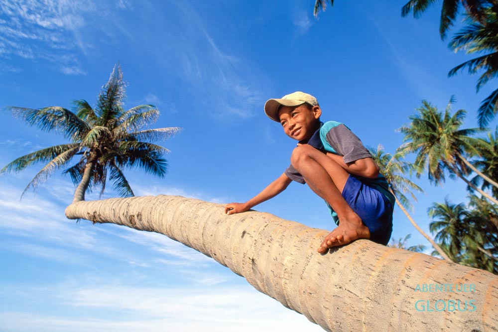 Ein Junge sitzt auf einer Palme am Strand.