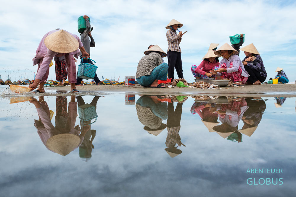 Frauen sortieren Muscheln im Fischerhafen