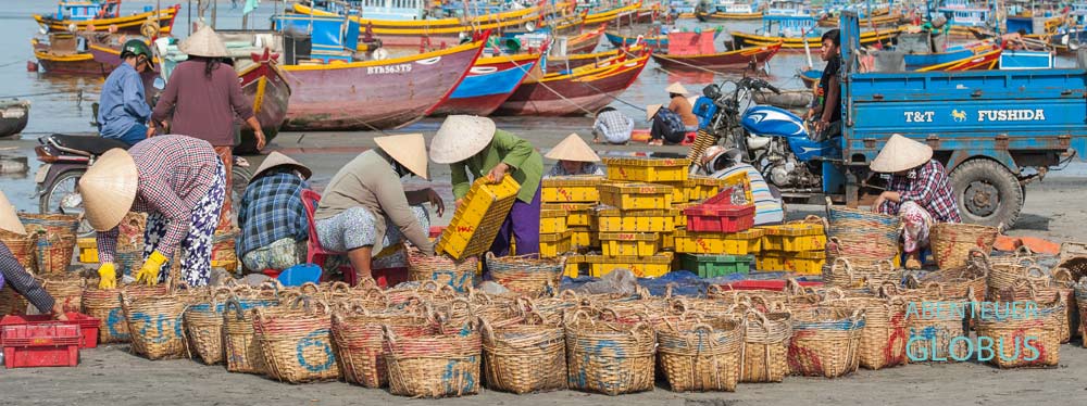 Highlight in Mui Ne: Fischereihafen am Morgen
