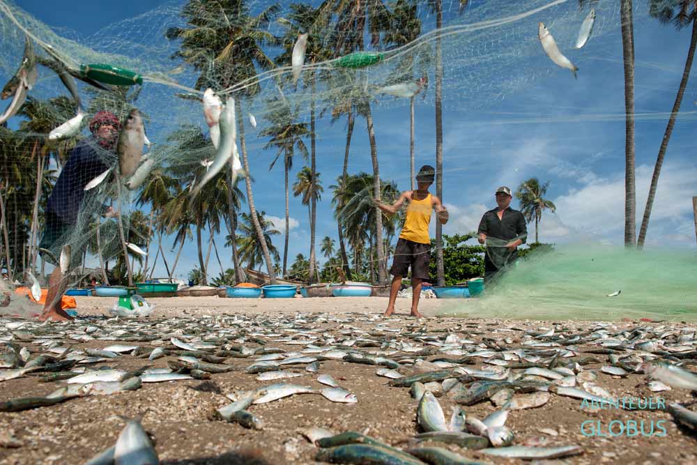Fischer entleeren Fangnetz am Strand von Mui Ne