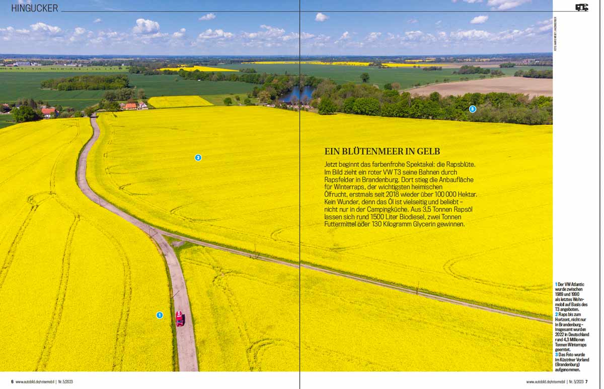 Mit dem Bulli durch Brandenburg entlang der Oder: Reportage von Annett und Mario Weigt vom Reiseblog Abenteuerglobus.com