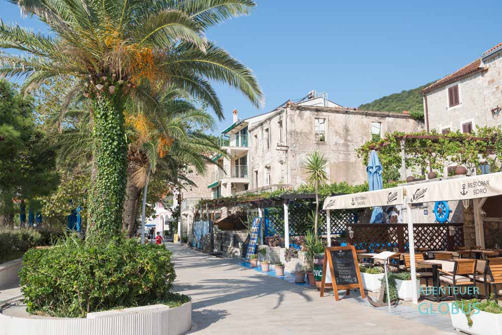 Ferienort Petrovac: Promenade mit Palmen 