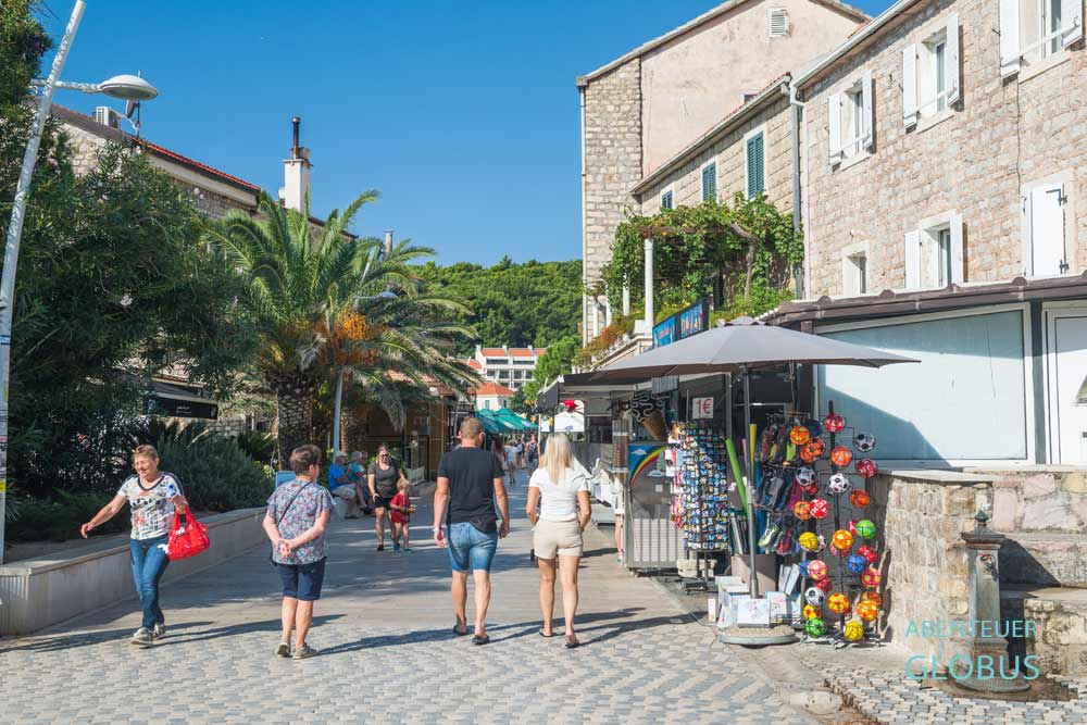 Alte Steinhäuser in Petrovac