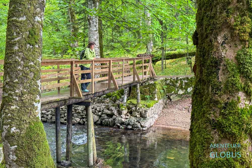Nationalpark Biogradska Gora: Holzbrücke über den Fluss Rijeka Biogradska