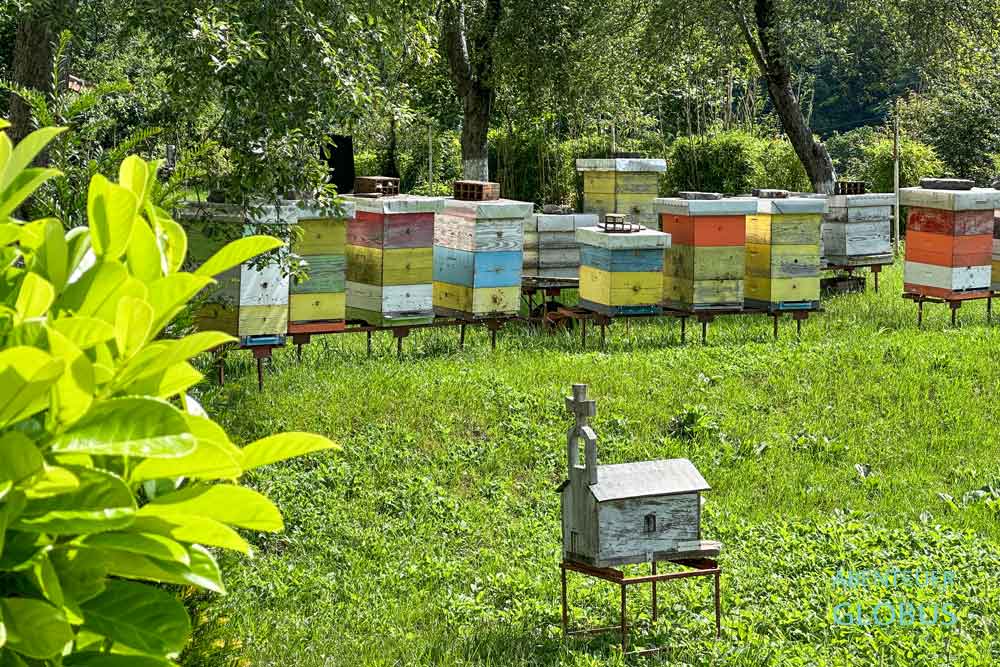 Imkerei mit Bienenstöcken im Kloster Moraca