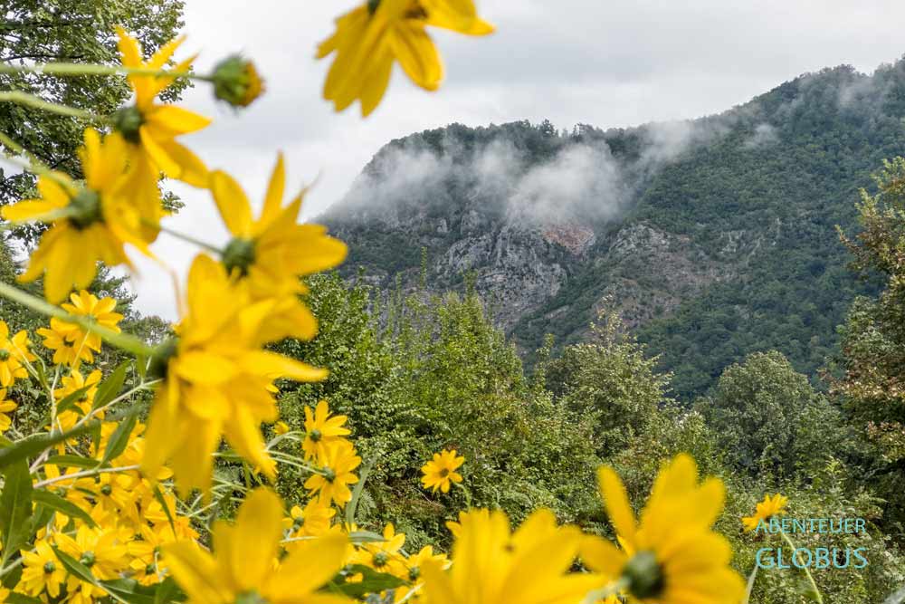 Schlucht Mrtvica mit Blumen