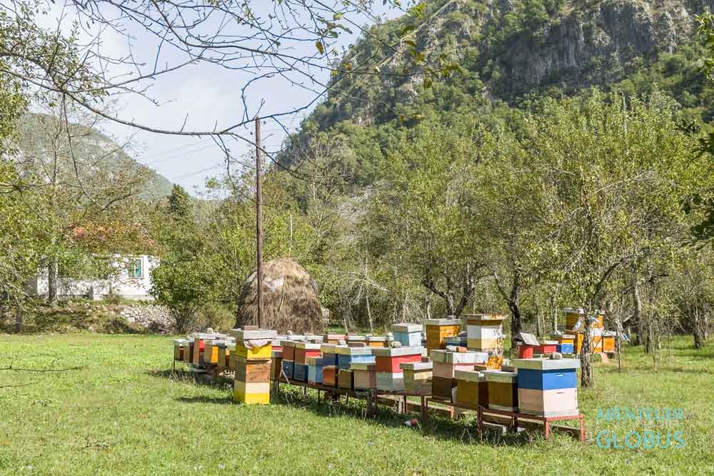 Dorf Mrtvo Duboko nahe Mrtvica Schlucht: Bienenzucht