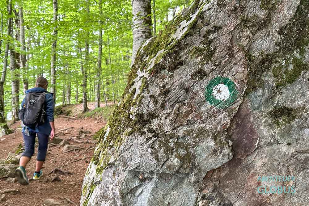 Wanderung um den See Biogradsko Jezero